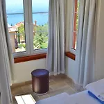 Zeytin Kalkan *