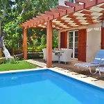 Zeytin Kalkan