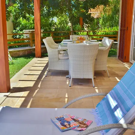 Zeytin Kalkan