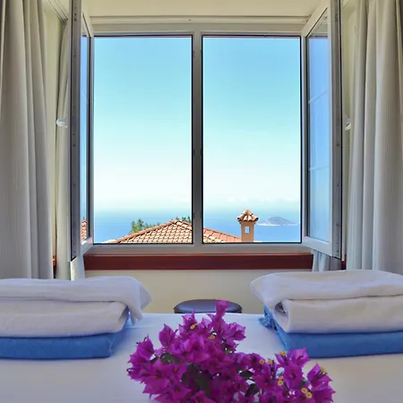Zeytin Kalkan *