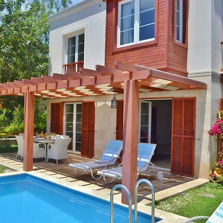 Zeytin Kalkan *