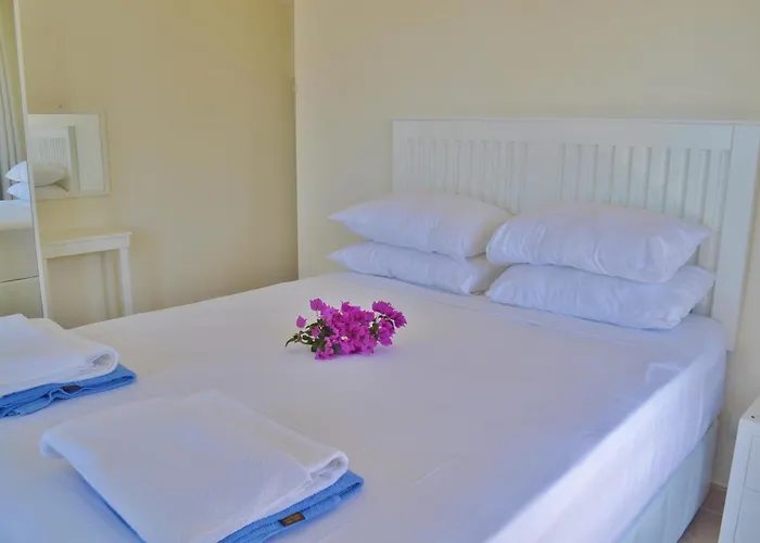 Zeytin Kalkan Villa Kaş